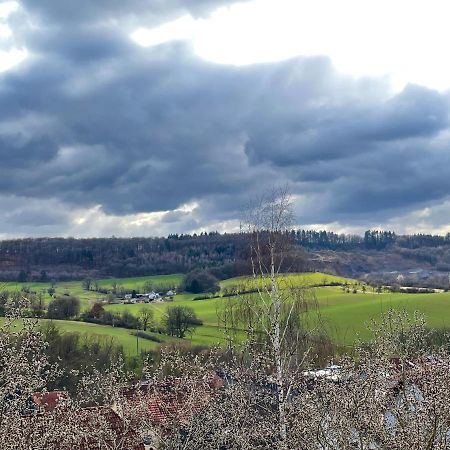 Ferienwohnung Balkonblick Am Hirschberg Sankt Wendel Εξωτερικό φωτογραφία